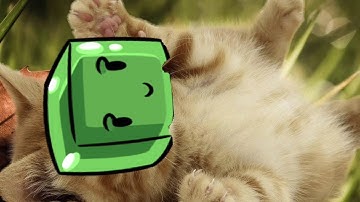 Cute rustydawgt kitty