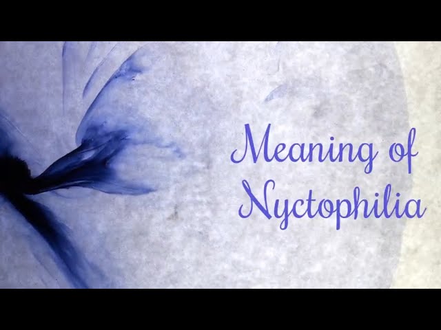 meaning of Nyctophilia class=