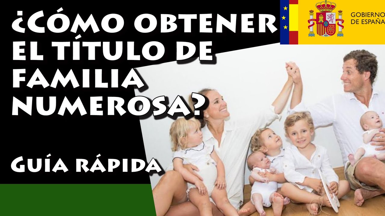 familia-numerosa-obtener-titulo-de-familia-numerosa-y-ayudas-y