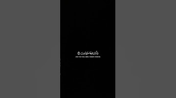 ياسر الدوسري |  تلاوة خاشعة جميلة | يا عبادي لا خوف عليكم اليوم #ياسر_الدوسري #ياسرالدوسري