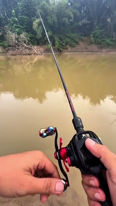 Mancing ikan lais tembiring harus senyap #fishing #mancing