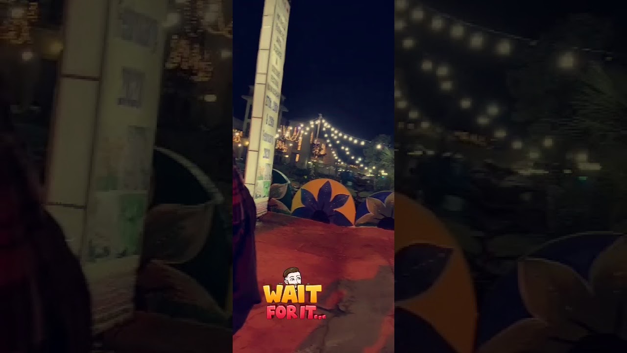 Flower show in NawaB Shah 2020