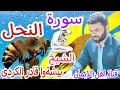 سورة النحل كاملة بصوت رائع الشيخ بيشةوا قادر الكردي Surat Alnahl Kamil Alshaykh Bishtu Qadir Alkurdi