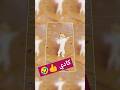 الاكتر طلبا كادي كادي العراق السعودية قطر الامارات الكويت البحرين اليمن اكسبلور الجزائر Cat الاكتر طلبا كادي كادي العراق السعودية قطر الامارات الكويت البحرين اليمن اكسبلور الجزائر Cat