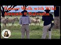 A Walk with the wild Animals @ Lake Naivasha&#39;s Crescent island