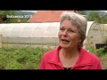 Hollands Glorie TV - YouTube