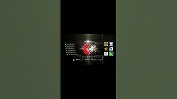 Button wheel automatic one piece counting filling sealing bag packing machine