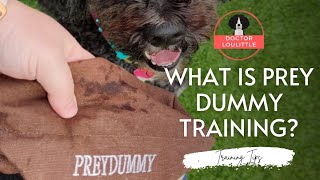 What is Prey Dummy Training?
