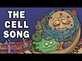 Cell Biology Quiz