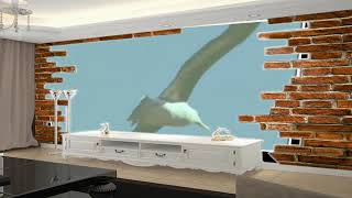 Endangered Wandering Albatross _ Saving Planet Earth_ Albatross _ BBC Net Worth