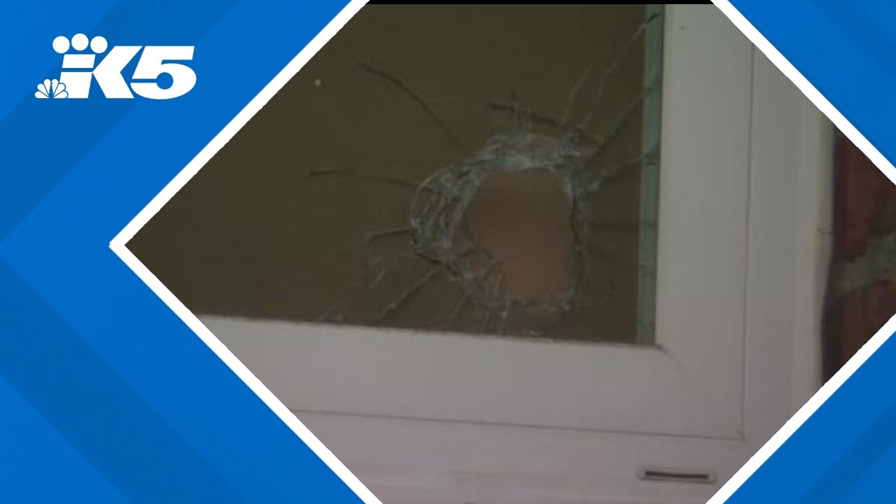 Northeast Seattleites fed up with violent crime, burglaries
