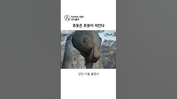 코끼리 표범 로봇이 펭귄 로봇을 지켜주자 동료들의 반응 ㅋㅋㅋ