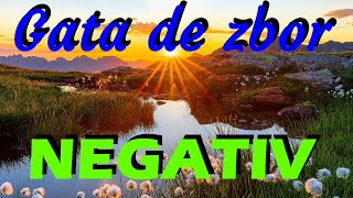 Gata de zbor - NEGATIV
