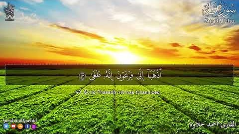 تلاوة هادئة تريح القلب💚 قران كريم يفرج الهم والغم 🤭صوت جميل جدا🎧 سبحان من رزقه هذا الصوت Quran HD