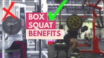 How To Box Squat to FIX YOUR SQUAT (NO Knee Pain)