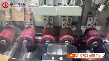 MÁY CƯA CẮT PHAY CHỌN LỌC - Máy phay xẻ chọn lựa tự động - Máy phay cắt loại bỏ mắt gỗ tự động