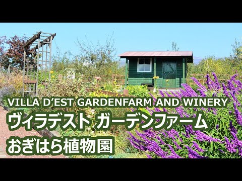 ヴィラデスト ガーデンファームでランチ、おぎはら植物園で花を買う VILLADEST ｜人生の楽園・長野移住ライフ｜田舎暮らし vlog 047