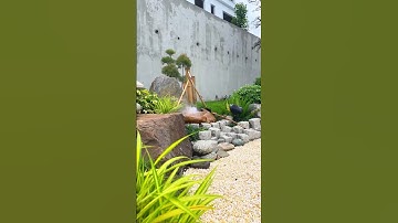 Sân vườn biệt thự yên bình và thư giãn