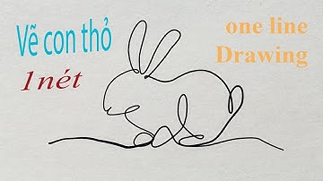 Vẽ hình bằng một nét |KN Kids.