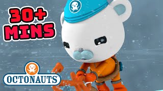 @Octonauts  OctoMission: Antarctica | @OctonautsandFriends