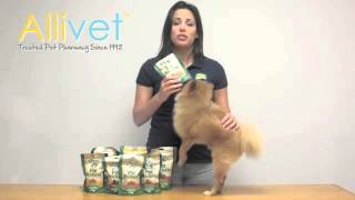 Allivet: Greenies Pill Pockets For Dogs