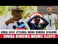 DOSA WA YANGA ATHIBITISHA RASIMI MUDA HUU AWEZI KUHAMA SIMBA KWA VYUMA VINAVYOTUA MSIMBAZI DOSA WA YANGA ATHIBITISHA RASIMI MUDA HUU AWEZI KUHAMA SIMBA KWA VYUMA VINAVYOTUA MSIMBAZI