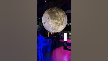 Exploring the EXPLORATORIUM in San Francisco, California! #stem #science