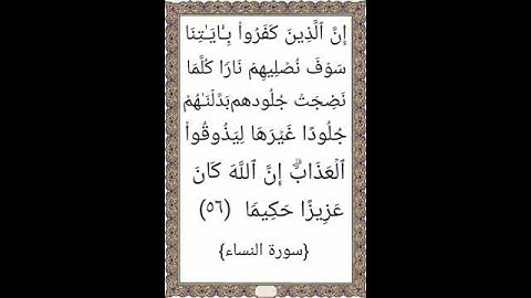 إن الذين كفروا بآياتنا سوف نصليهم نارا #آية(٥٦) #سورة_النساء #الشيخ_سعد_الغامدي #القرآن_الكريم