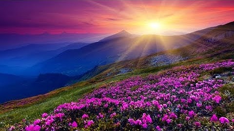 إن الذين كفروا بآياتنا سوف نصليهم نارا #آية(٥٦) #سورة_النساء #الشيخ_سعد_الغامدي #القرآن_الكريم