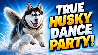 This Is What A True Husky Dance Party Looks Like