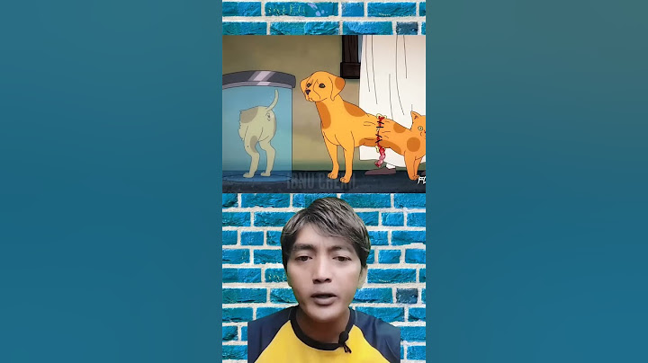 Saat Kucing Dan Anjing Jadi Satu #alurcerita #viral #storytelling #shorts