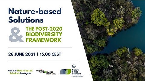 Nature-based Solutions and the Post 2020 Biodiversity Framework