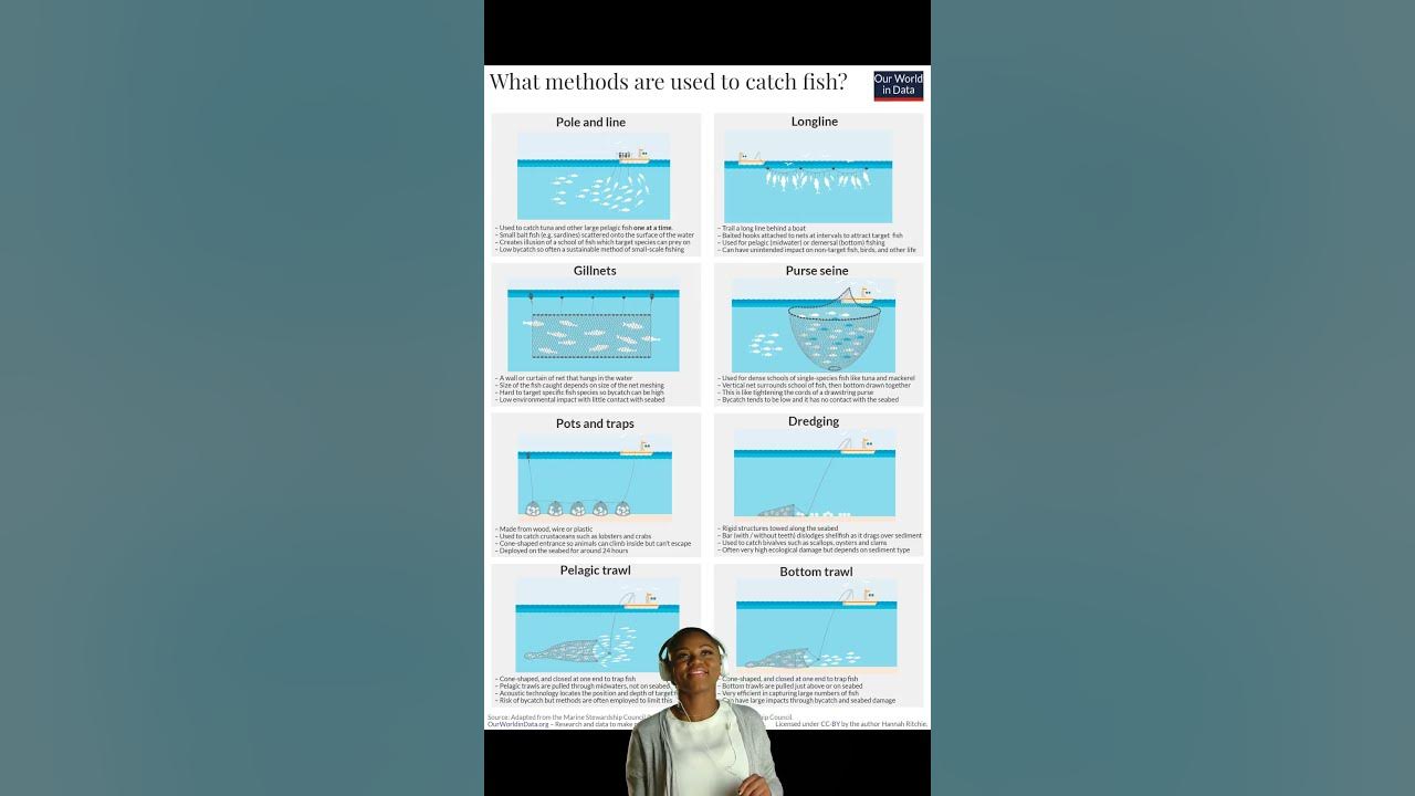 Programming A cool guide to the methods used to catch fish - YouTube