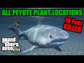 ALL PEYOTE PLANTS LOCATIONS MAP 2020  *INCL. 25 IN PERSON FINDS* Where To Find Peyote | GTA 5 ONLINE