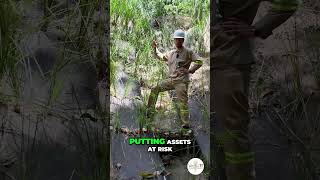 Check Dams: Controlling Erosion and Preventing Gullies #shorts