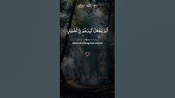 سورة الفيل/القران الكريم