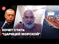 Шейтельман раскрыл план Эрдогана по Черному морю