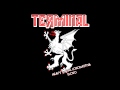 Terminal - Heavy Metal Lokomotiva