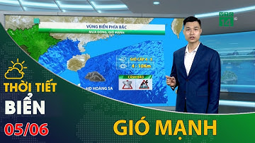 Thời tiết biển 05/06/2022: Bắc biển Đông có mưa dông, gió mạnh | VTC14