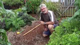 How to Measure Seedling Spacing