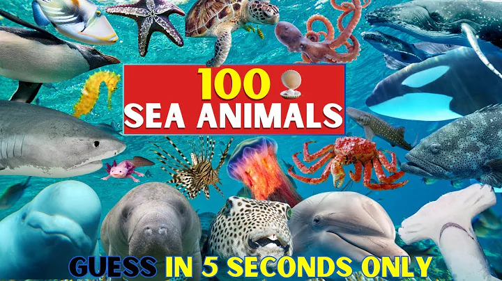 Guess 100 Ocean Animals | Underwater Quiz Challenge!