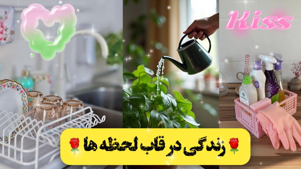 روزمرگی من ازآب دادن به گل ها و تمیز کاری شروع شد🌹#گل_و_گیاه#تمیزکاری#روزمرگی #وبلاگ#خانه_داری#کلیپ
