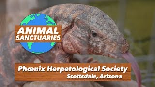 Phoenix Herpetological Society - Animal Sanctuaries [Ep.9]