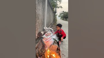 Poor dog abandoned by owner on beach was rescued by baby.#dog #lovedog #pets