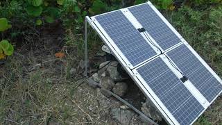 Desecheo Island bird colony recruiting