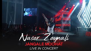 Naser Zeynali - Jangale Moohat I Live In Concert ( ناصر زینلی - جنگل موهات )