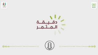 دقيقة المثمر: طرق السقي في زراعة البطيخ و الدلاح