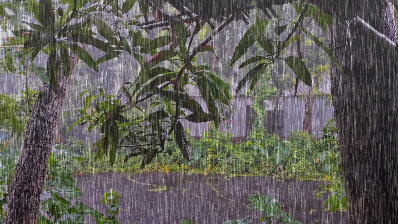 Rain on Tin Roof - Relaxing Rainfall - ASMR Sleep Sounds 4k