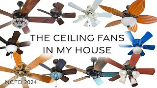 The Ceiling Fans In My House National Ceiling Fan Day 2024