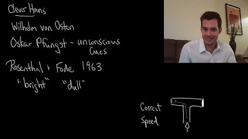 Observer Bias  Clever Horses and Dull Rats Intro Psych Tutorial  8720P HD